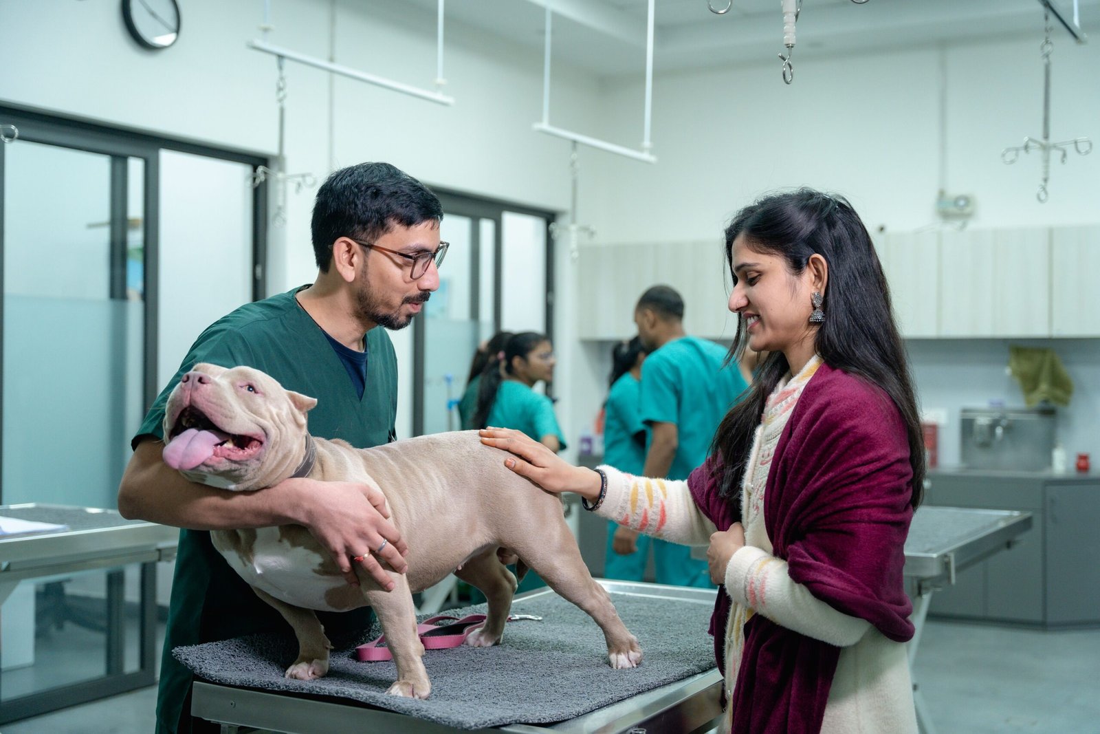 10 Common Pet Health Problems Every Owner Should Know