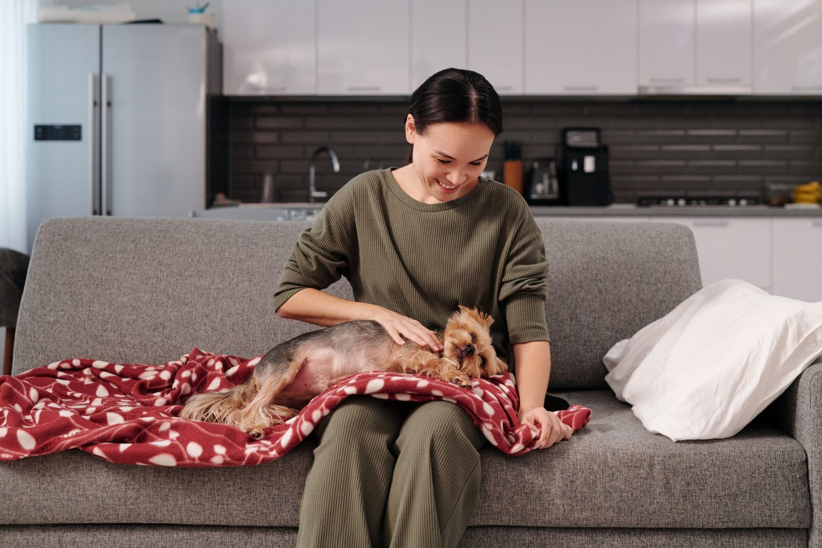 Complete Pet Care Guide: How to Keep Your Pet Healthy and Happy