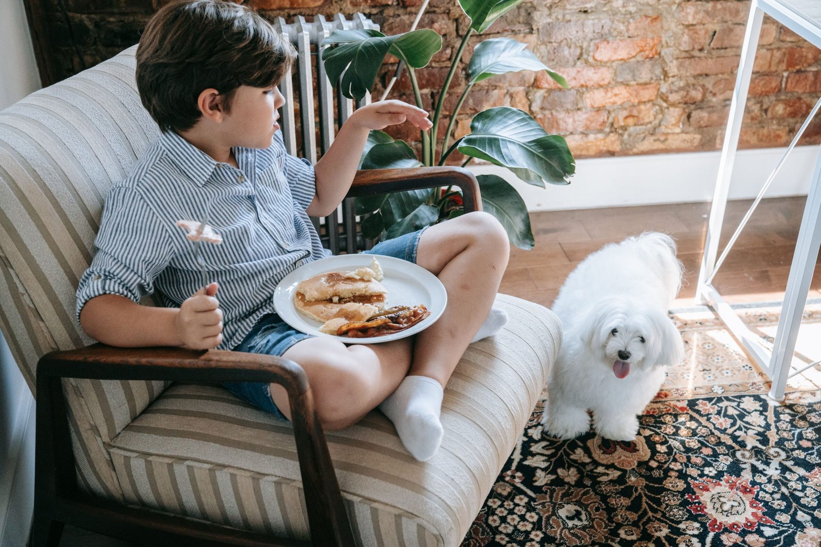 Foods Dogs Should Never Eat: A Complete Safety Guide