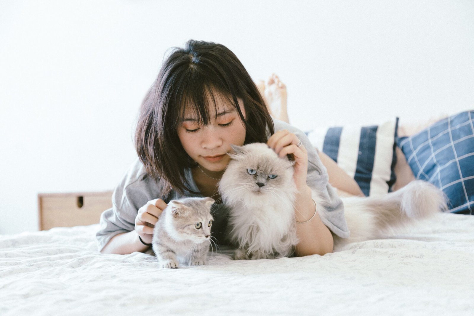 How to Choose the Right Pet for Your Home and Lifestyle